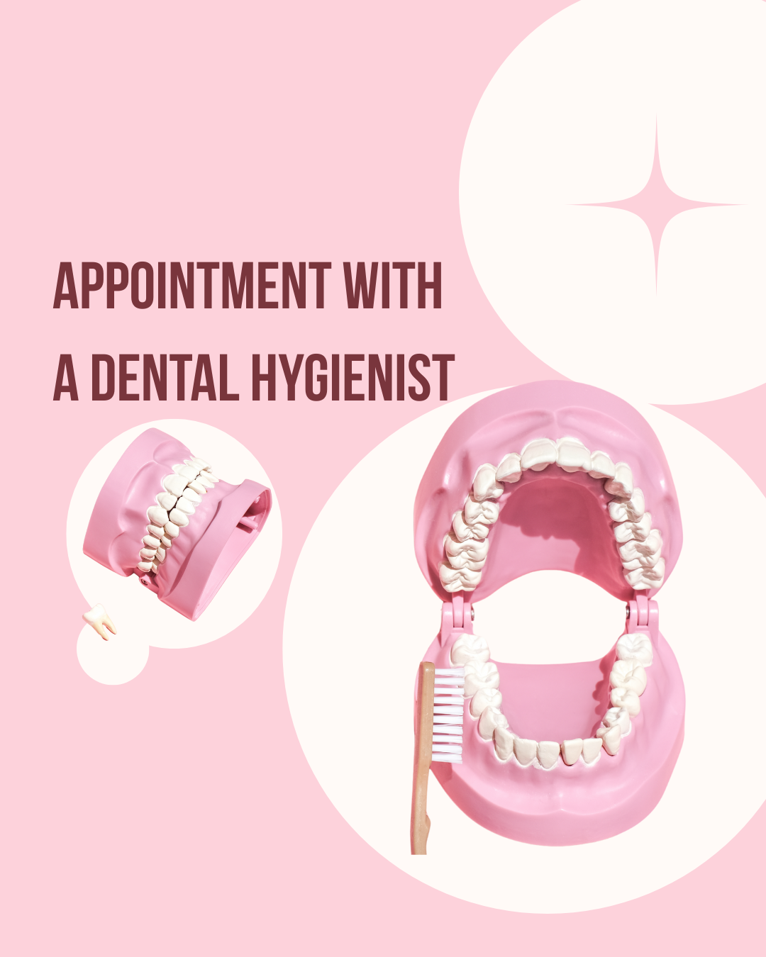 Appointment with a Dental Hygienist