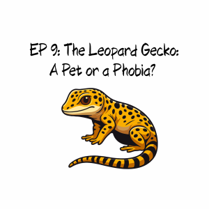 EP 9: The Leopard Gecko: A Pet or a Phobia?